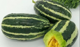 911黑料吃瓜爆料今日大瓜,今日大瓜震惊娱乐圈